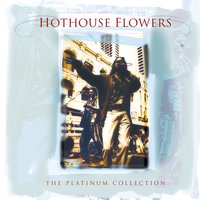 Hard Rain - Hothouse Flowers