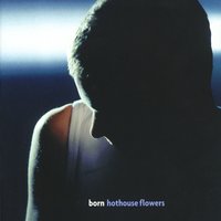 I Believe - Hothouse Flowers