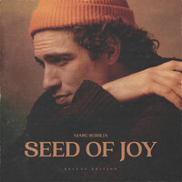 Seed of Joy - Marc Scibilia, Brian Fallon