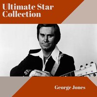 Accidentally on Purposeose - George Jones