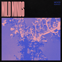 EMBRACER - Mild Minds, The Kite String Tangle
