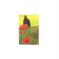 In the Poppy Fields - The Alarm