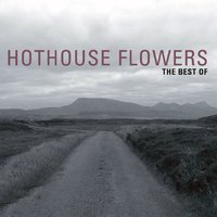 I'm Sorry - Hothouse Flowers