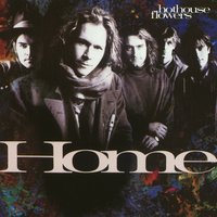 Dance to the Storm - Hothouse Flowers