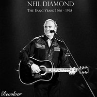 The Long Way Home - Neil Diamond