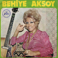 Bir Garip Yolcu - Behiye Aksoy