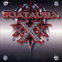 Guatauba - Plan B