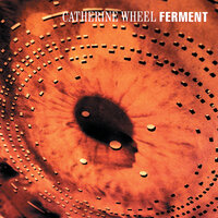 I Want To Touch You - Catherine Wheel