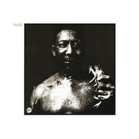 I Am The Blues - Muddy Waters