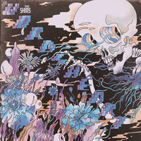 So Now What (Flipped) - the Shins