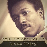 Ninety Nine And A Half Won't Do - Wilson Pickett Jr.