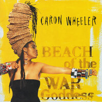 Wind Cries Mary - Caron Wheeler