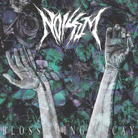 Replant and Repress - Noisem