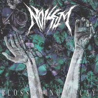 1132 - Noisem