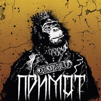 Погляд - O.Torvald