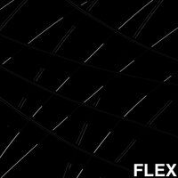 FLEX - Vox