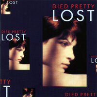 Springenfall - Died Pretty