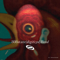 Bond - 808 State, Mike Doughty