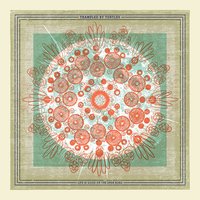 Blood in the Water - Trampled By Turtles