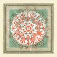 I Went to Hollywood - Trampled By Turtles