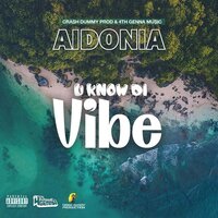 U Know Di Vibe - Aidonia