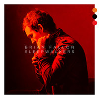 See You On The Other Side - Brian Fallon