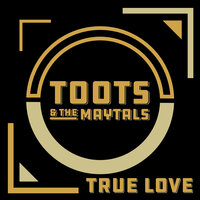 True Love Is Hard to Find - Toots, The Maytals, Bonnie Raitt