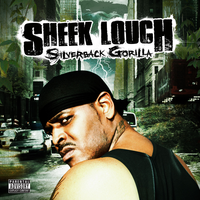 That's A Soldier - Sheek Louch