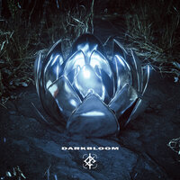 Darkbloom - We Came As Romans