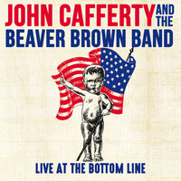 Some Like It Hot - John Cafferty And The Beaver Brown Band