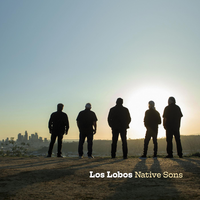 Love Special Delivery - Los Lobos