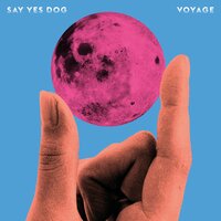 Golden Nights - Say Yes Dog