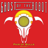 Heart Attack - Ghost of the Robot