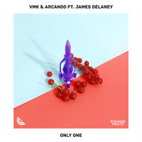 Only One - Vmk, Arcando, James Delaney
