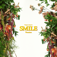 Smile - Benjamin Ingrosso, Kronan, Sud
