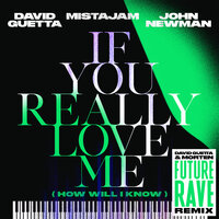 If You Really Love Me (How Will I Know) - David Guetta, John Newman, MistaJam