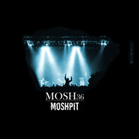 Elefant - Mosh36