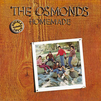 We Never Said Forever - The Osmonds