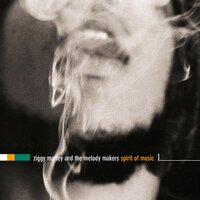 Gone Away - Ziggy Marley And The Melody Makers