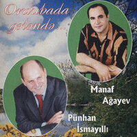 Kəndimizdə Toy Olanda - Manaf Agayev