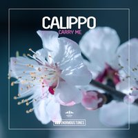 Carry Me - Calippo
