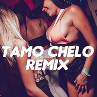Tamo Chelo - DJ Alex, Seba Bootleg