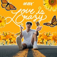 love is crazy - Anees