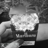 Nicotine - Roan