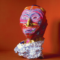 Part Time Model - The Wytches