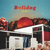 Bulldog - Soleima