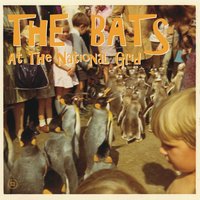 Crazy Crowd - The Bats