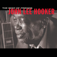 I Cover The Waterfront - John Lee Hooker, Booker T. Jones