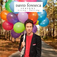 I Would Have Gone and Loved You Anyway - David Fonseca