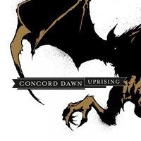 Morning Light - Concord Dawn